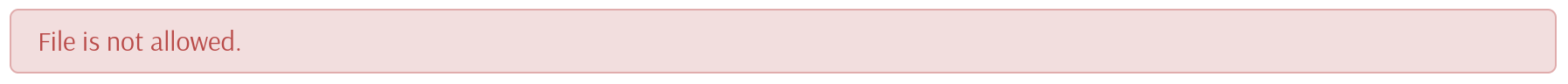Upload the webshell error