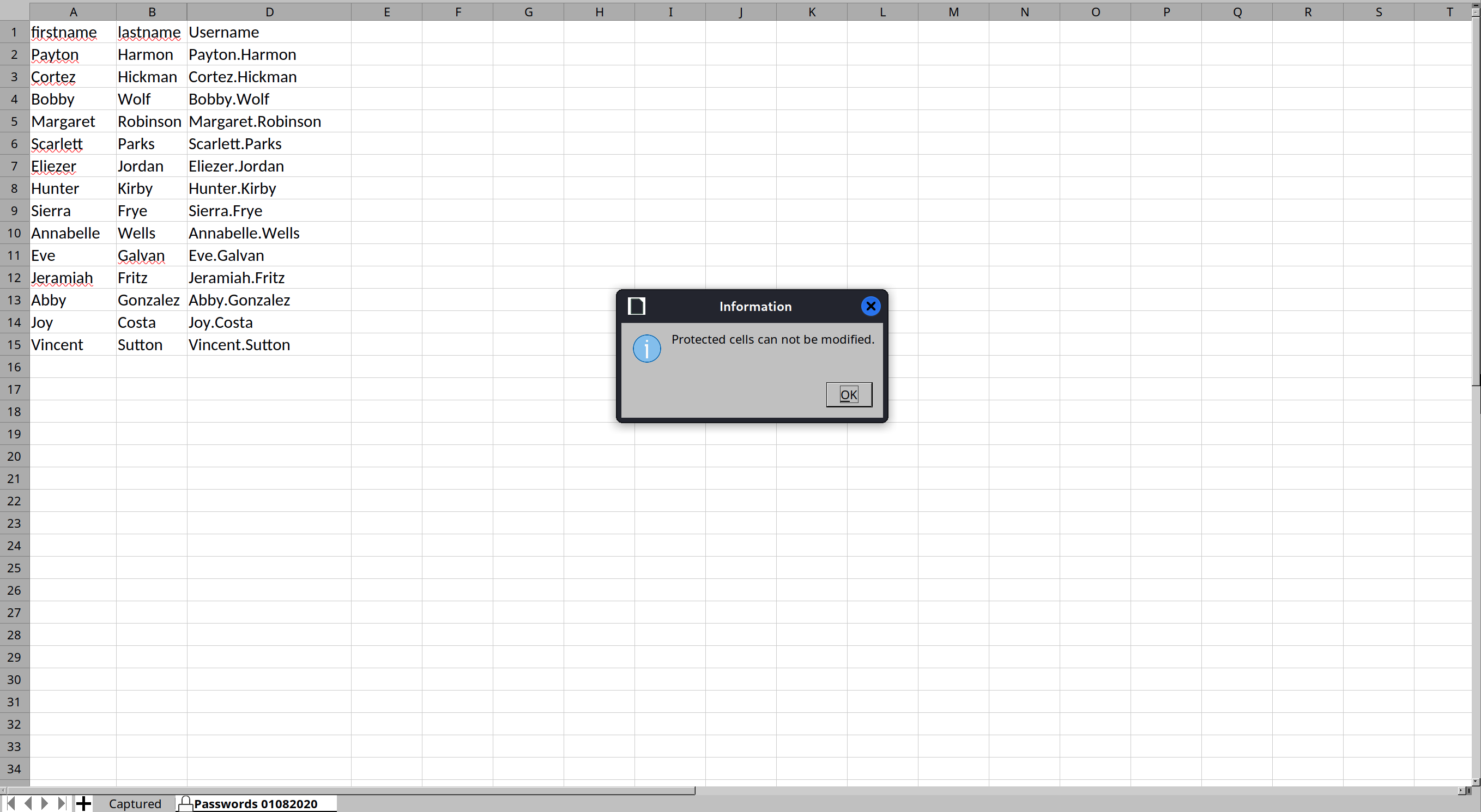 Phishing_Attempt.xlsx - password protected column
